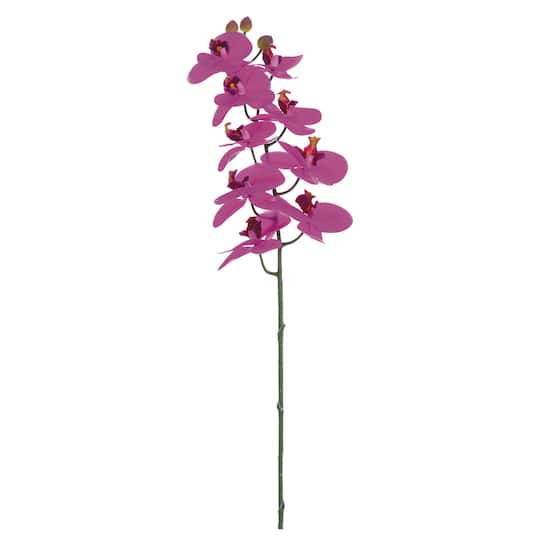 Fuchsia Phalaenopsis Orchid Spray